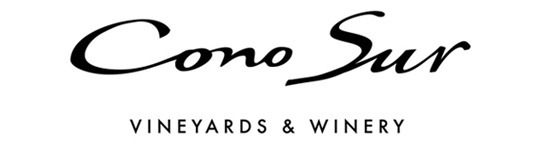 CONO SUR logo